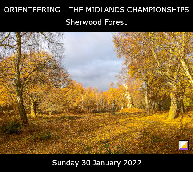 Midlands Championships